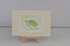 Turtle-Abstract-Watercolour-Pa