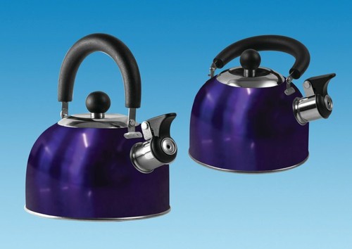 Gas stove top whistle - stove,