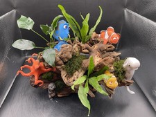 Unique Dory & Friends Aquascape - Mix of Natural Drftwood  & Artificial Decor