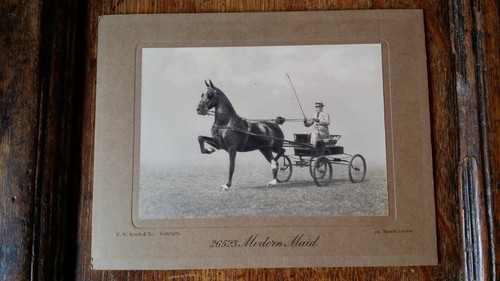1900 original antique - 1900's,