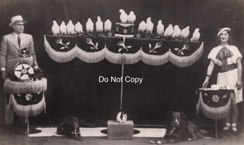 Circus rppc photo - circus,
