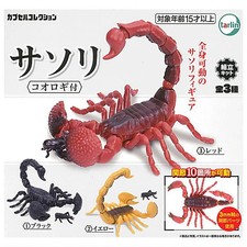 Tarlin 300YEN Japanese