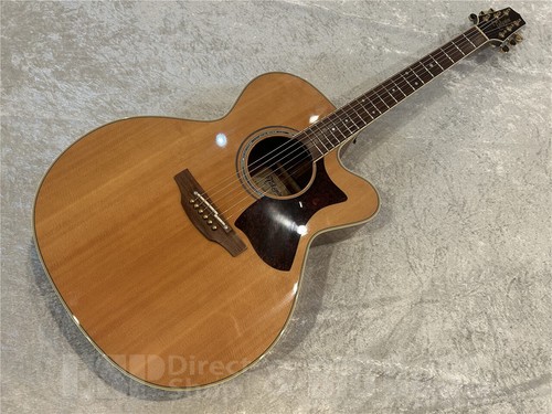 Takamine acoustic electric - takamine, acoustic-electric