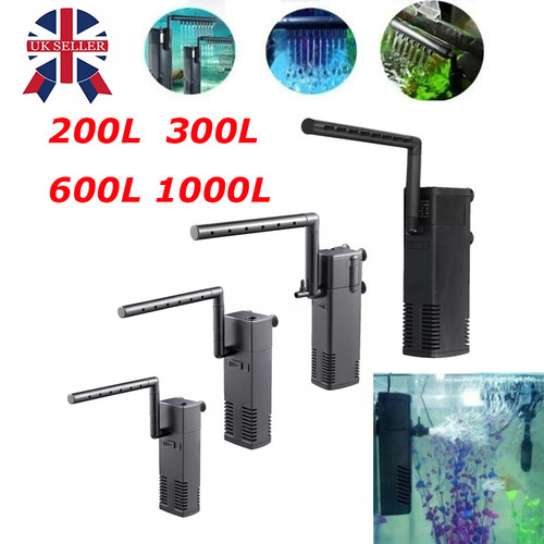 200l 1000l aquarium fish - aquarium,