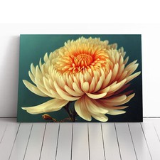 Angelical Chrysanthemum Flower