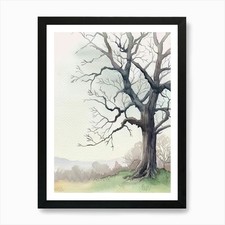 Ebony Tree Atmospheric Watercolour  Framed Wall Art Poster Canvas Print Picture