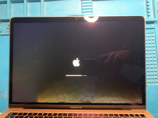 Genuine Apple LCD Screen for