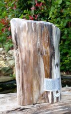 Large Petrified Fossil Wood Specimen Freestanding Indonesian 6kg 