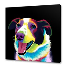 Smooth Collie Dog Colourful