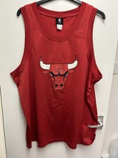 MBA Chicago Bulls Lavin