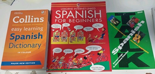 Spanish language learning - 3,