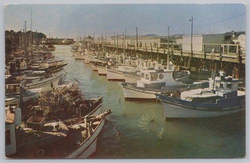 Transport deep sea fishing - transport~deep,