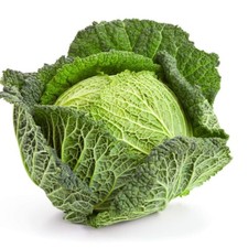 Vegetable Plants - Cabbage