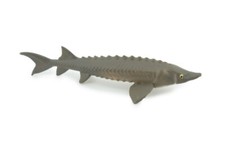 Sturgeon Toy Hand Painted
