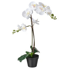 IKEA Orchid Flowers Pot
