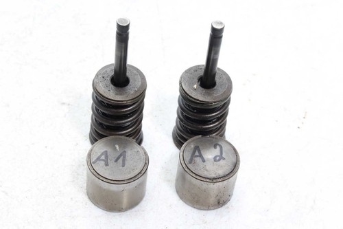 Exhaust valves valve springs - exhaust,