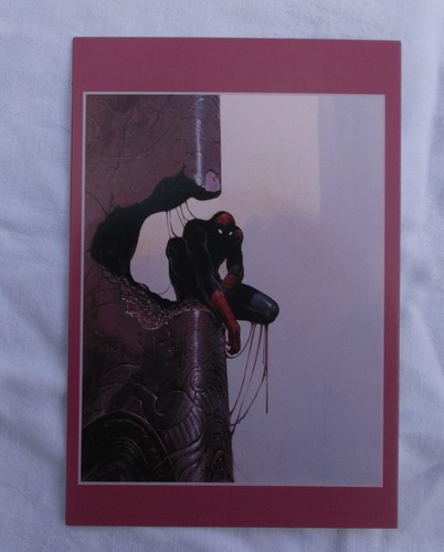 Spider man marvel comics - man-,