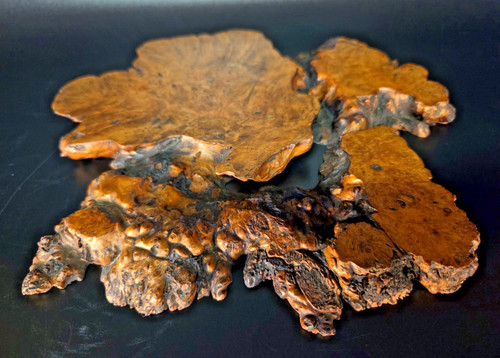 Japanese tamamoku burl wood - burl,