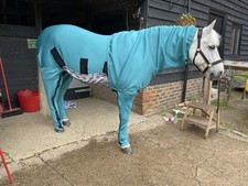 Stain Prevention Horse Rug