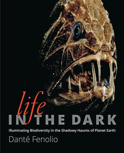 Life the dark - life,