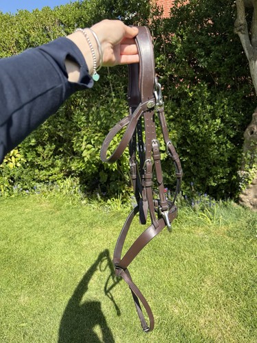Training bridle - dy’on,