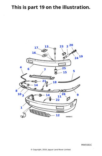 Jaguar nut exterior - nut,