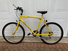 Raleigh Avalanche Boys Bicycle with 25 inch wheels