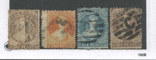 New zealand chalon - new, head