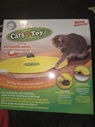 Motarized interactive cat toy - motarized,