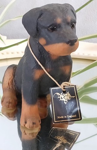 North light rottweiler puppy - north,