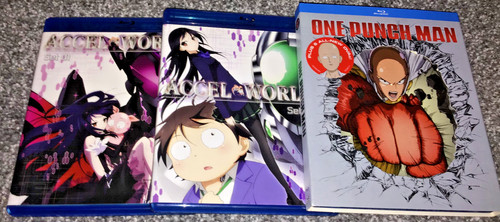 Accel world one punch - one,