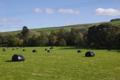 Photo 6x4 haugh woodlea - haugh,,