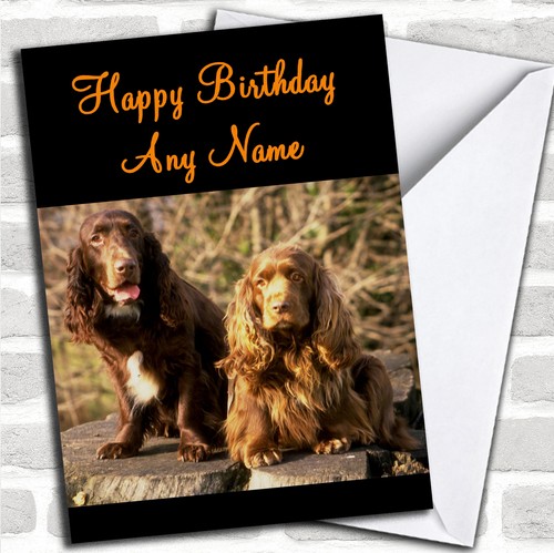 Field spaniel dogs - spaniel,