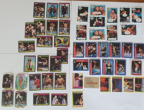 Bundle 1990s wwf wrestling - wwf,