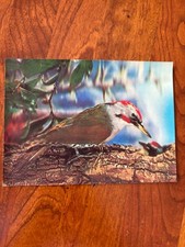 Vintage 3-D POSTCARD Bird