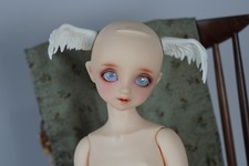 BJD Super Dollfie Dollpamm