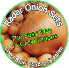 Autumn Planting Onion Sets