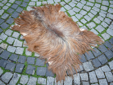 Angora Goat Leather Goatskin