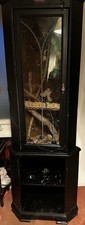 Reptile Enclosure