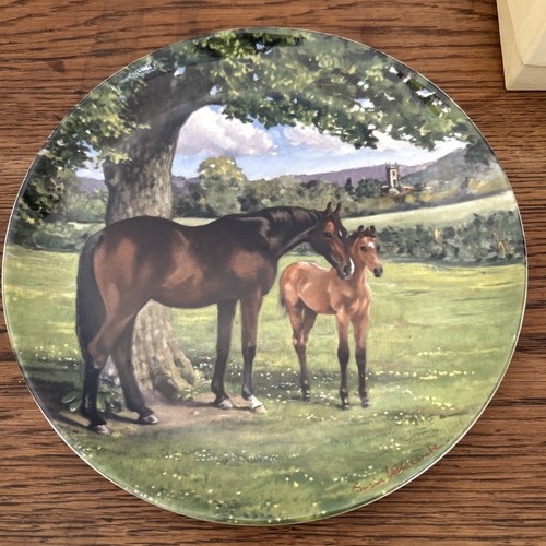 Boxed english thoroughbred - boxed,