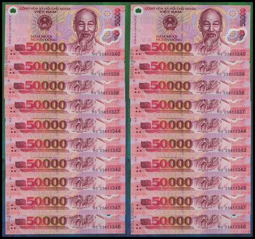 000 vietnam dong - dong, 20