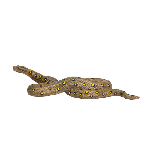 Green anaconda wild zoo - green,