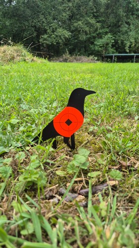 Air rifle targets metal - targets, crow