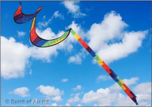 Twister windsock - windsock, 50"