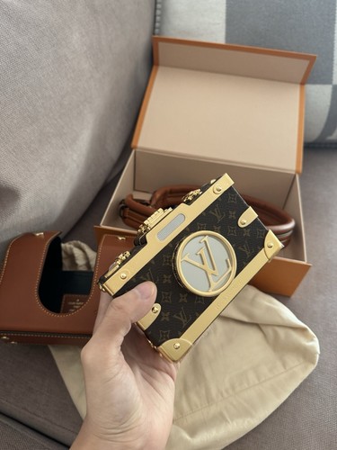 Louis vuitton camera trunk - vuitton,