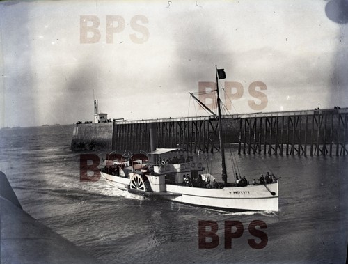 Celluloid negative antelope - negative,