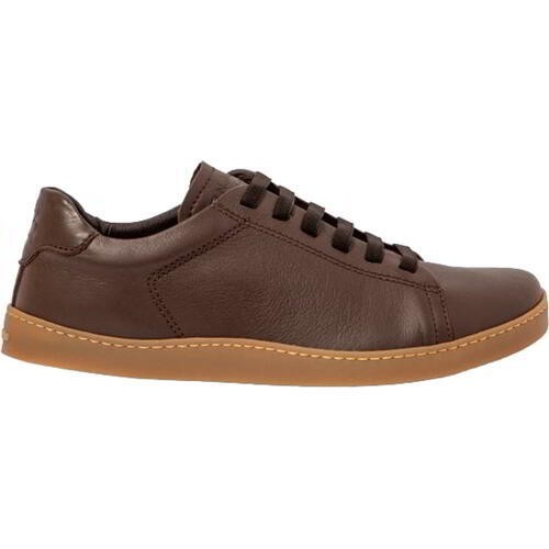 Naturalista origen n5910 - naturalista,