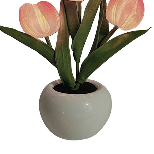 Led tulip night - led, light