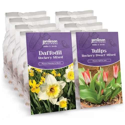 Rockery mixed dwarf daffodil - mixed,