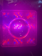 Decorative Lamps- coloured water- or for alternative use as vivarium or reptile 